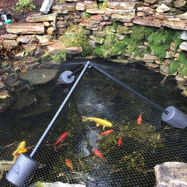 Net support systems available for ponds under leaf loads or for predator control.