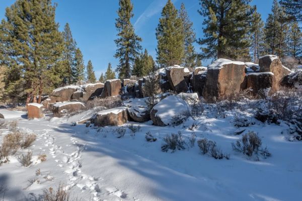 Snow-covered rocky landscape with pine trees under a clear blue sky.