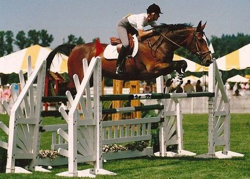 Equestrian jumping over an obstacle during a competition.