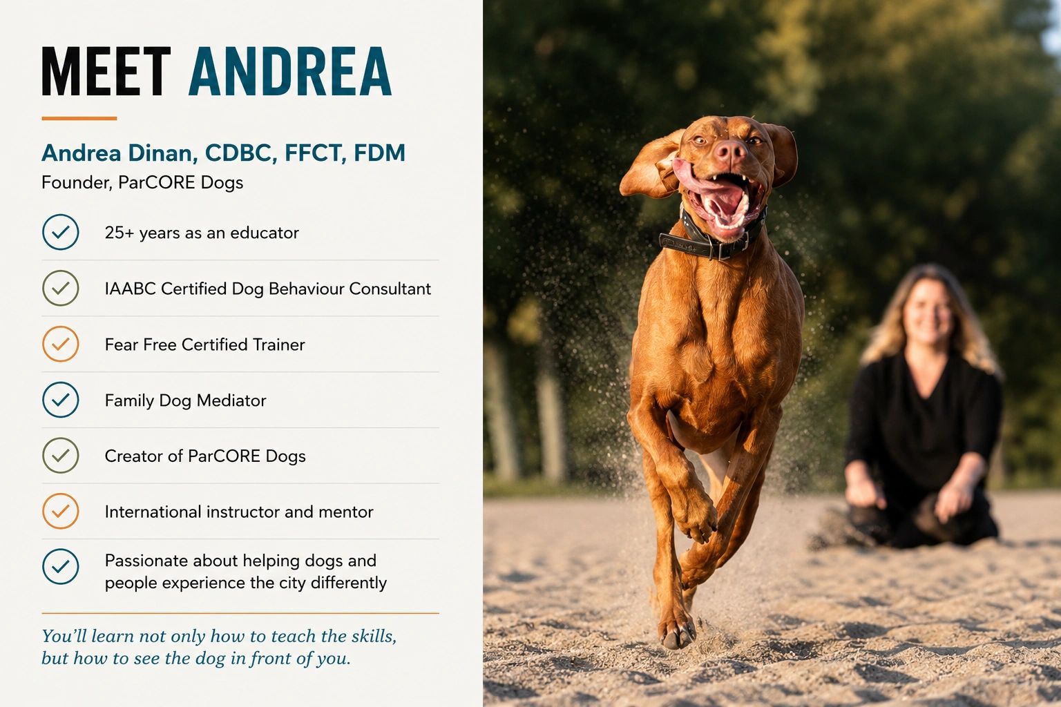 Energetic dog running toward the camera with a smiling person in the background.
