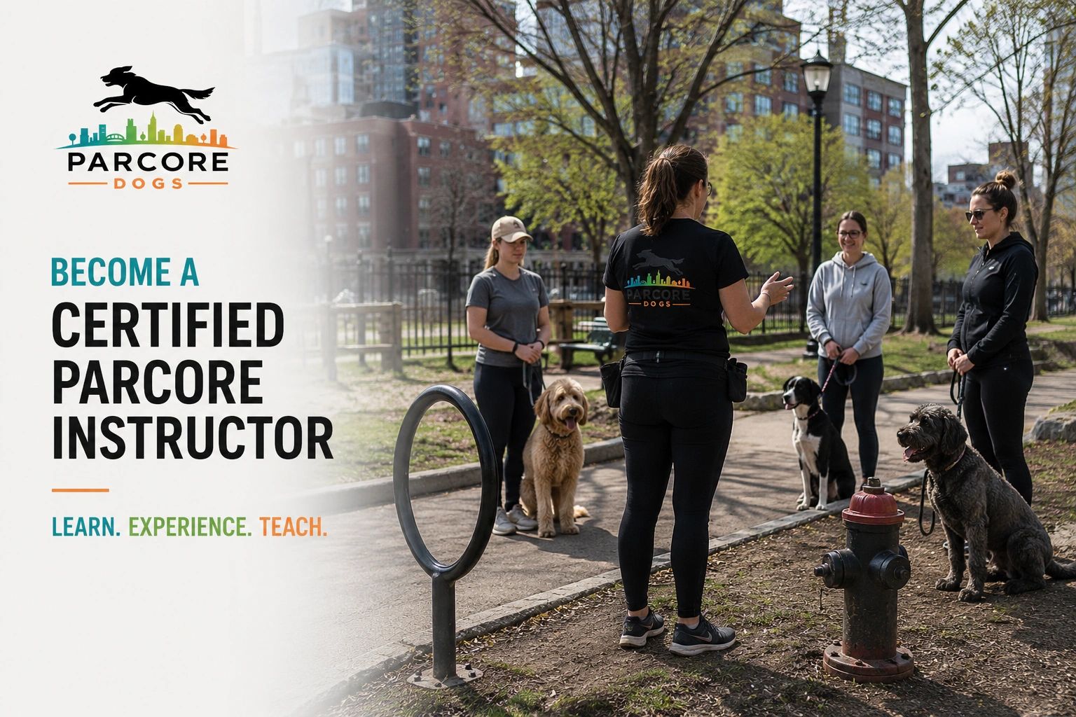 Certified Parcore instructors training with dogs in a park.