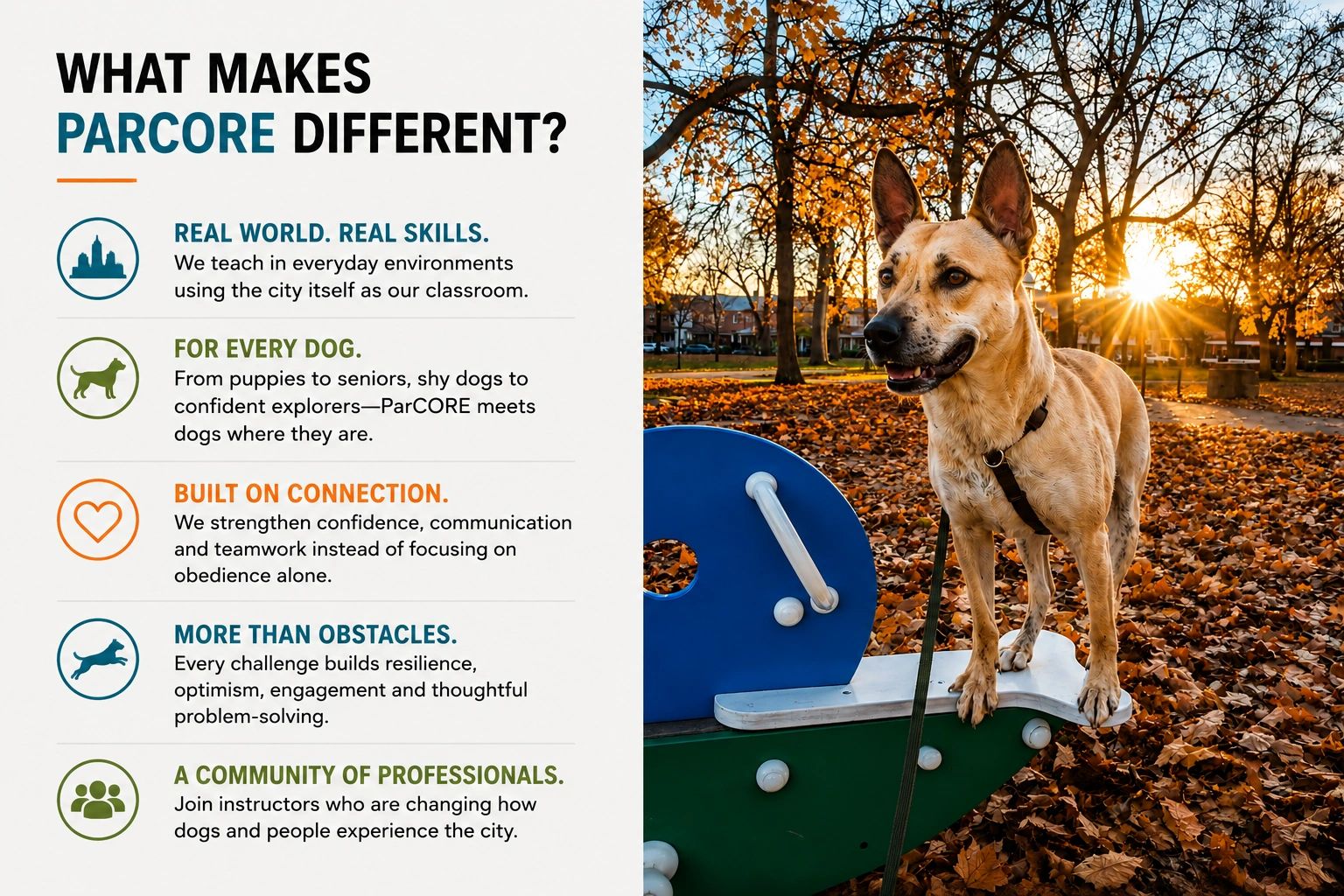 ParCORE offers real-world dog training with a community focus.