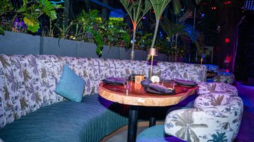 Cozy restaurant seating with tropical-themed upholstery and wooden table.