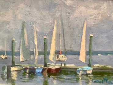  Opti sailboats, sailing classes
