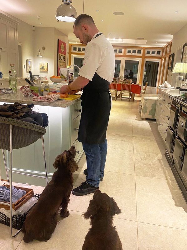 Chef preparing food in kitchen while two dogs watch eagerly.