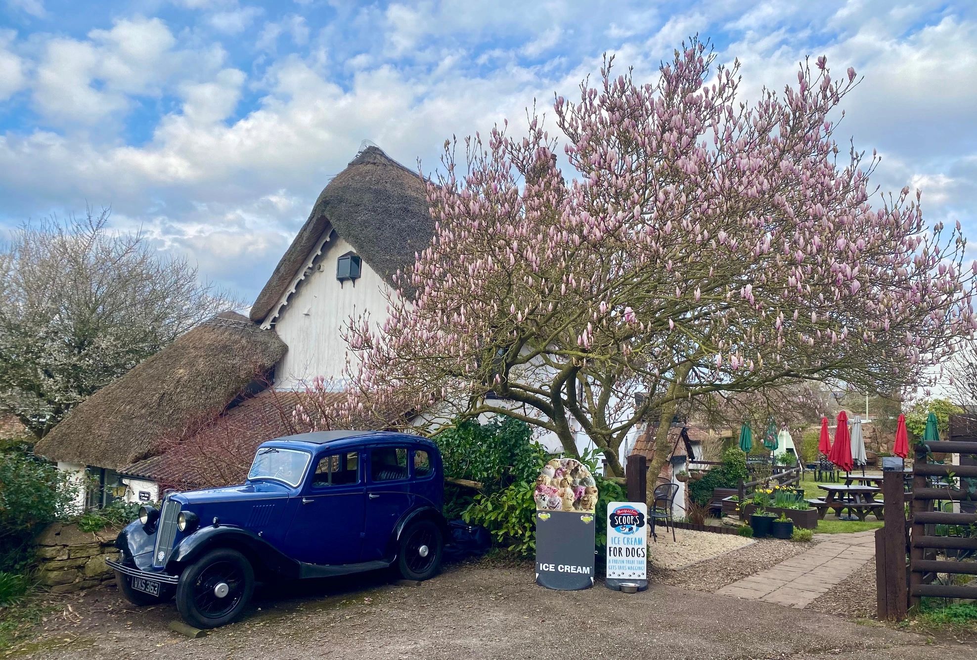 The Canal Tea Rooms & Garden