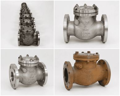 Various metal check valves in different sizes and finishes.