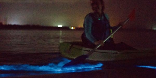 Woman kayaking with bioluminescence lighting up against her paddle. 
