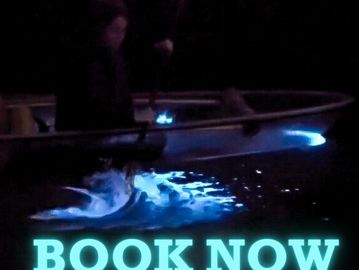 Person in Clear Kayak splashing in bioluminescence