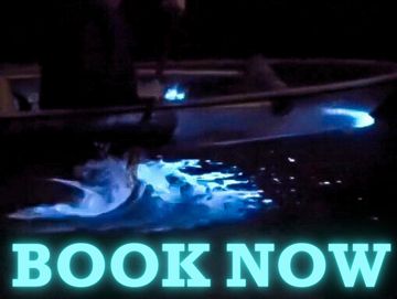 Person in Clear Kayak splashing in bioluminescence with the words "book now" on it in blue. 