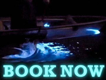 Person in Clear Kayak splashing in bioluminescence with the words "book now" on it in blue. 