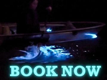 Person in Clear Kayak splashing in bioluminescence with the words "book now" on it in blue. 