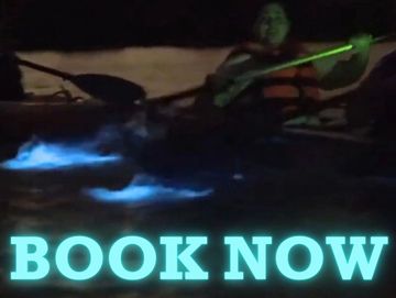 Kayakers splashing around in bioluminescence 