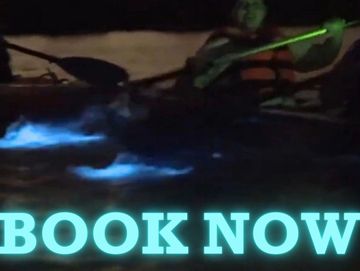 Kayakers splashing in the bioluminescence