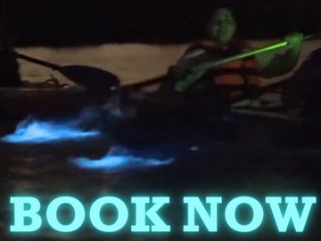 Book now 