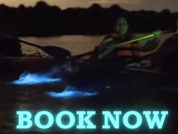 florida bioluminescence clear kayak tour