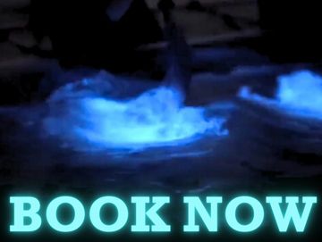 Person in clear kayak splashing in bioluminescence with the words "book now" on it in blue. 