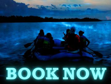 Rafting Tour Cocoa Beach, Florida, over the bioluminescence of the Banana River. 