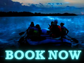Rafting Tour Cocoa Beach, Florida, over the bioluminescence of the Banana River. 