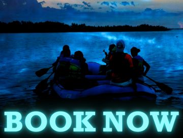 People in a raft on the bioluminescent water with the words "book now" on it in blue. 