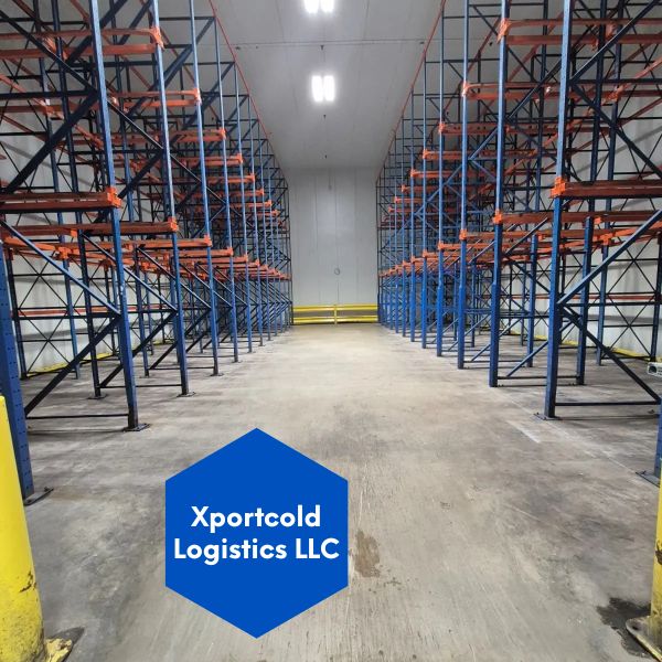Empty warehouse shelves ready for storage.