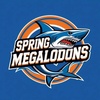 Spring Megalodons Youth Organization