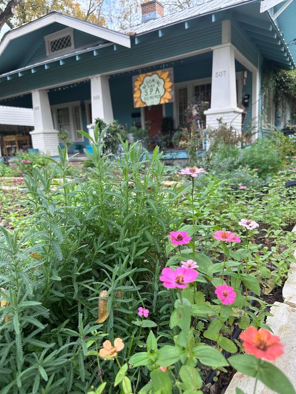 Blooming Day Spa front and garden