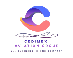 CEDIMEX GROUP