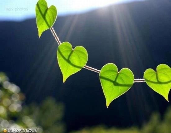 Movement therapy session