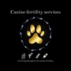 Southeast Canine Fertility