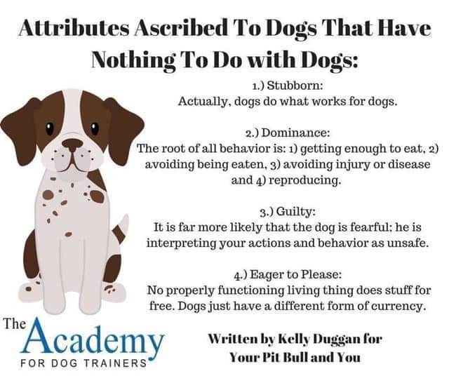 Dogs Attributes And Meanings Dogs Attributes Dog Breeds With The
