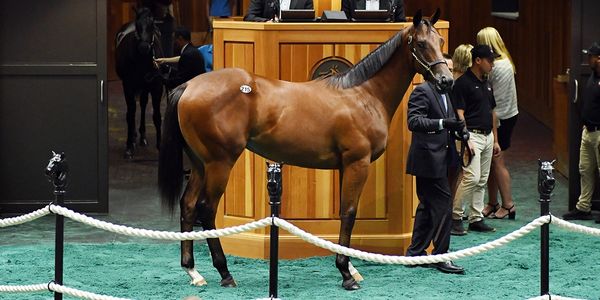 davant latham, davant latham bloodstock, street sense colt, saratoga, fasig tipton