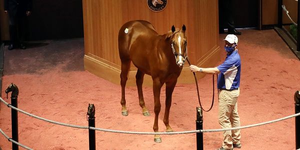 Davant Latham, Midway Thoroughbreds Pinhook, Munnings Market Lover Colt