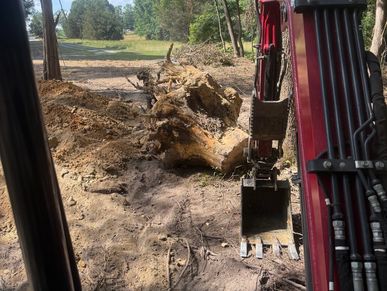 Excavator digging up a large tree stump in a forest clearing.