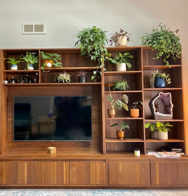 Assorted house plants from our plant shop add creative colors to this shelf