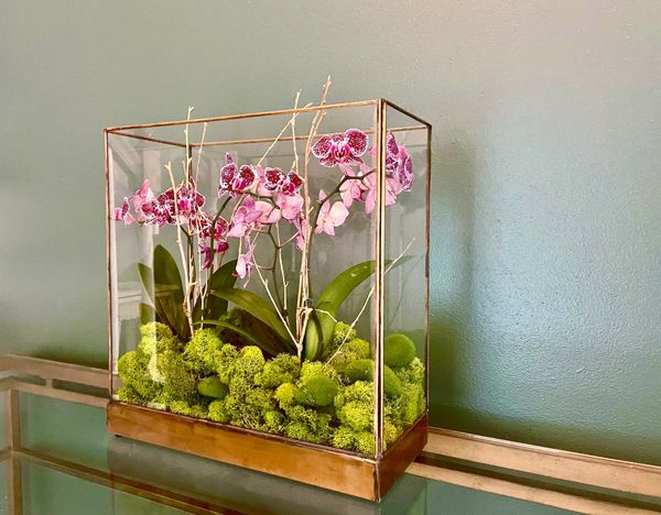 Decorative orchid display for entryway