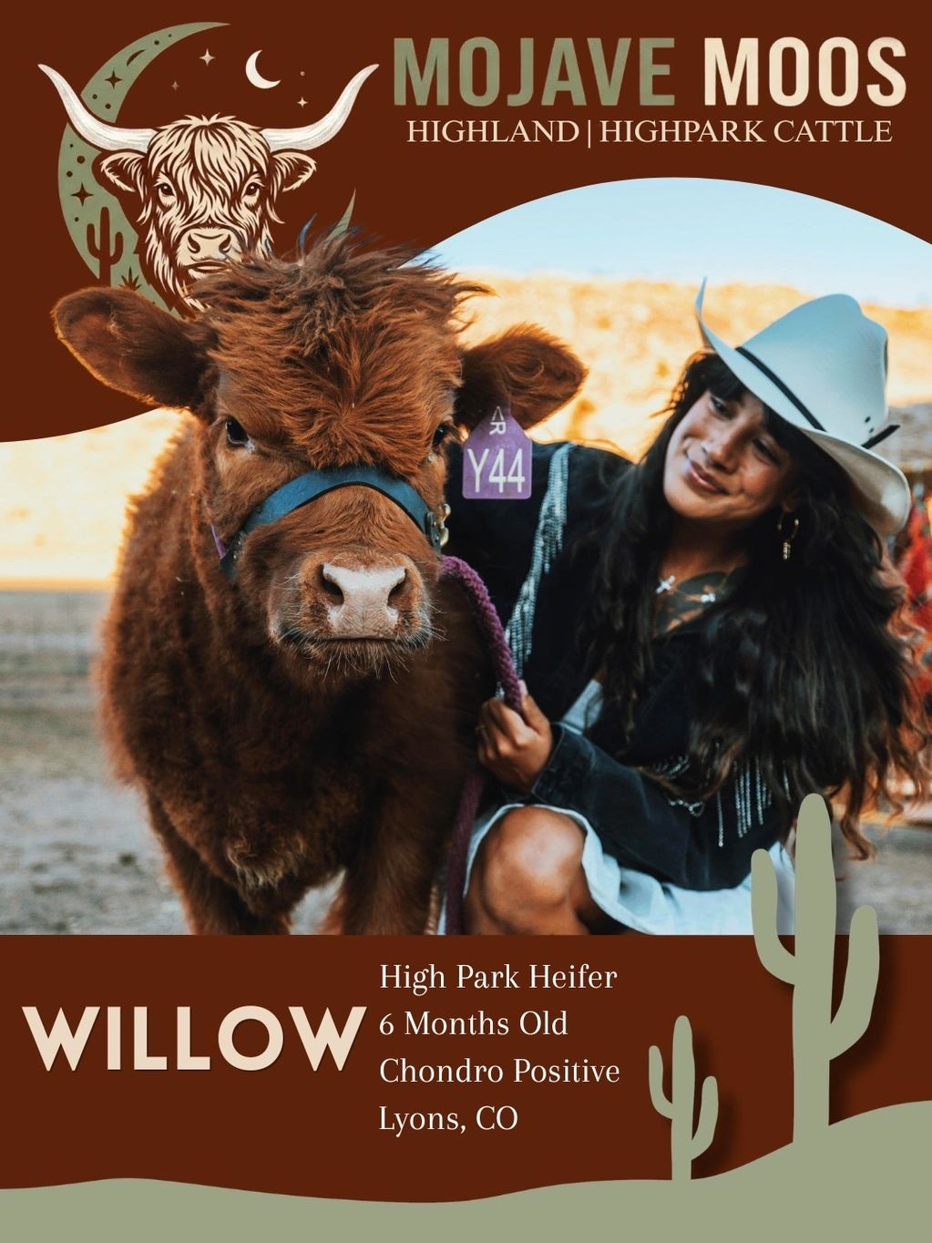 A young heifer named Willow with a woman in a white hat, promoting Mojave Moos cattle.