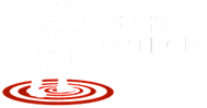 Force Options Inc
