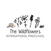 the wildflowers