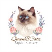 Queen B Bullz