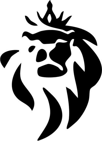 Lions Pride Boxing and MMA website redesign by Bodhi Communications