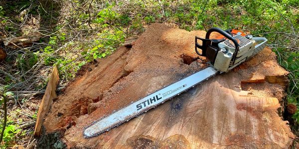 A chainsaw on a freshly cut tree stump in a forest. Tree Removal, Stump Removal Veteran Tyler TX 