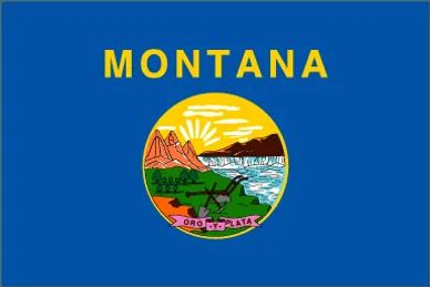Flag of Montana with a scenic emblem and yellow text on blue background.