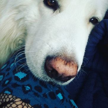 Samwise