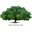 Ejy Consulting