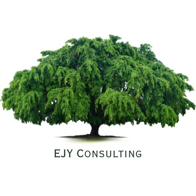 EJY Consulting