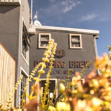 Exterior view of a building with brewing company signage and plants in the foreground.