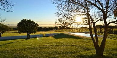 Sunset over a grassy yard with trees and a pool reflecting the light.