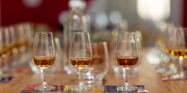 Three glasses of amber liquid on a wooden table, likely a tasting session.