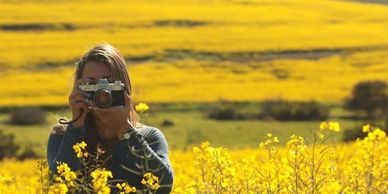 Person taking photo in a vibrant yellow flower field.
